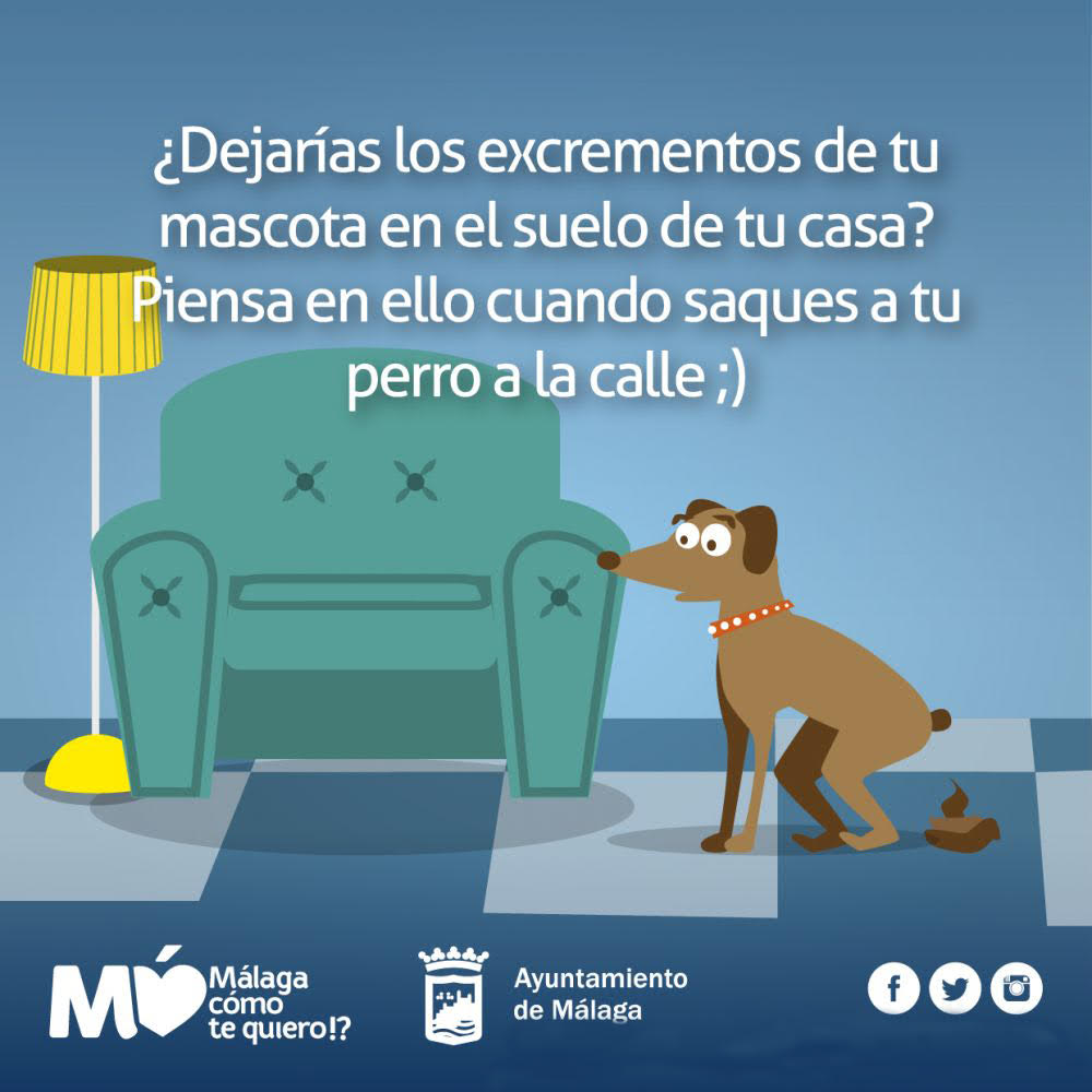 reflexion4