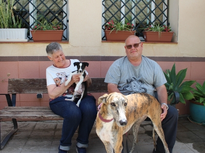 Adopción Golfa