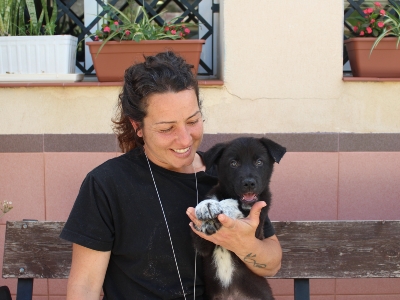 Adopción Jefazo