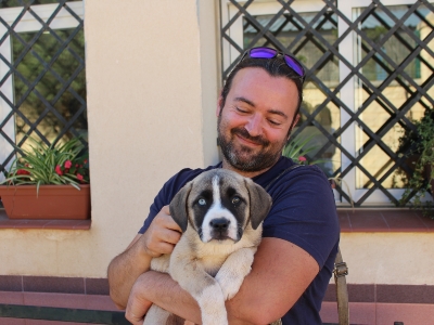 Fotos Adopción Reina