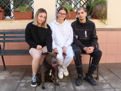 Adopción Toreto