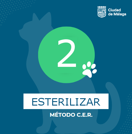 icono-esterilizar