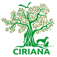 logotipo-ciriana