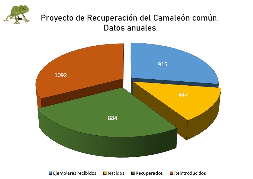 grafica quesos camaleon 2026