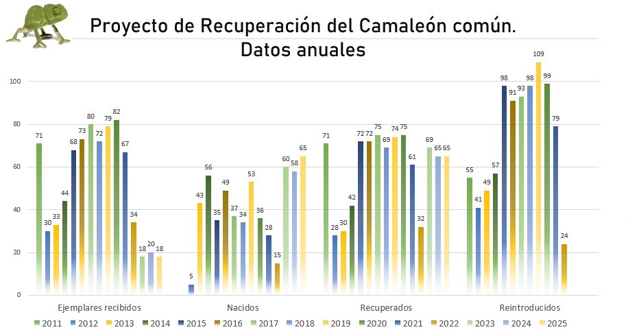 grafico barras camaleon 2026