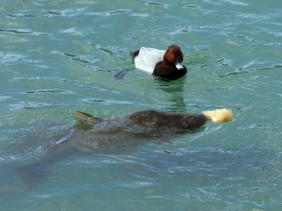 Parque_laguna_de_la_barrera-5